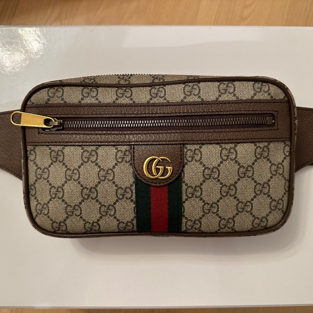 Gucci Ophidia Belt Bag
